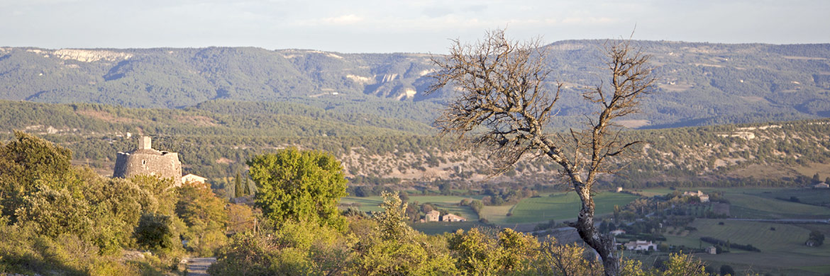 Simiane La Rotonde