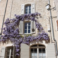 Façade à la glycine dans le haut village de Simiane ©Isabelle Oudot
