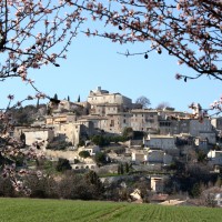 Simiane et ses amandiers en fleurs ©Isabelle Oudot