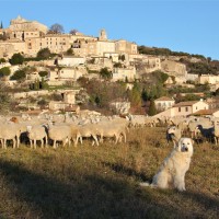 Un autre gardien du village... ©Isabelle Oudot