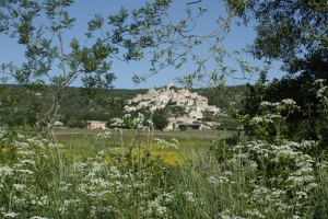 Simiane et son écrin végétal ©Isabelle Oudot