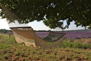 Invitation au repos à Simiane ©Isabelle Oudot