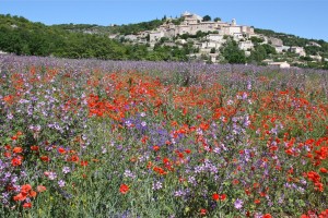 Couleurs pétillantes de Simiane-la-Rotonde ©Isabelle Oudot